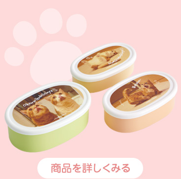 シール容器 3Pセット