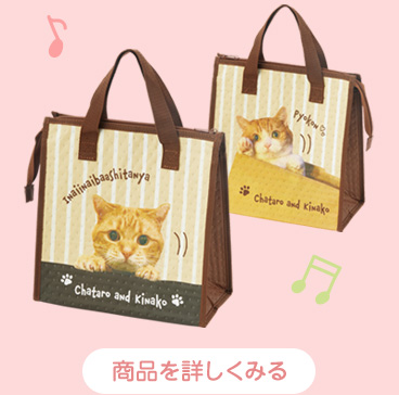 保冷 ランチバッグ