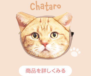 ダイカットポーチ