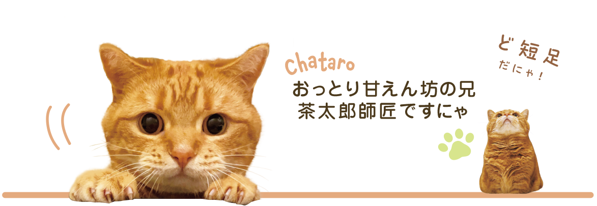 茶太郎