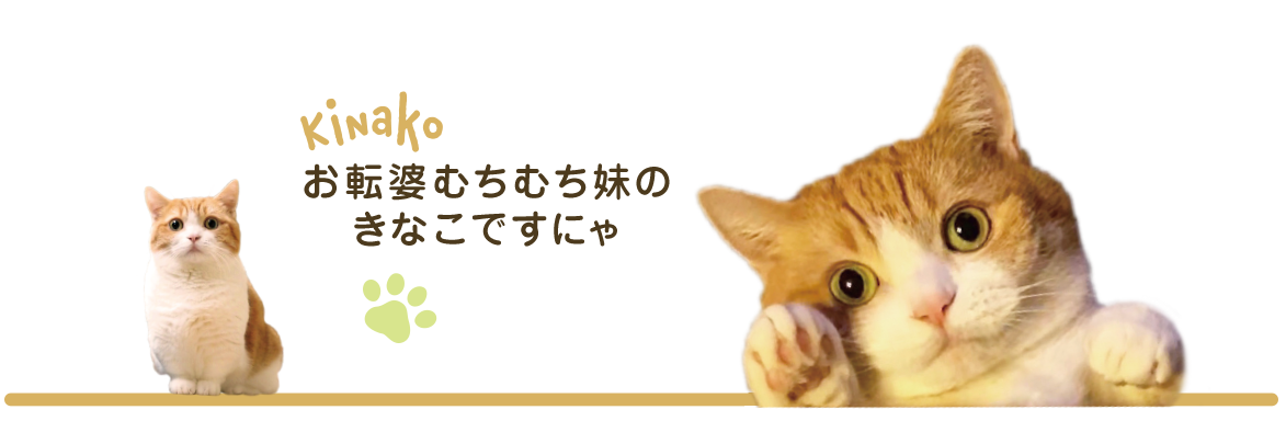 きなこ