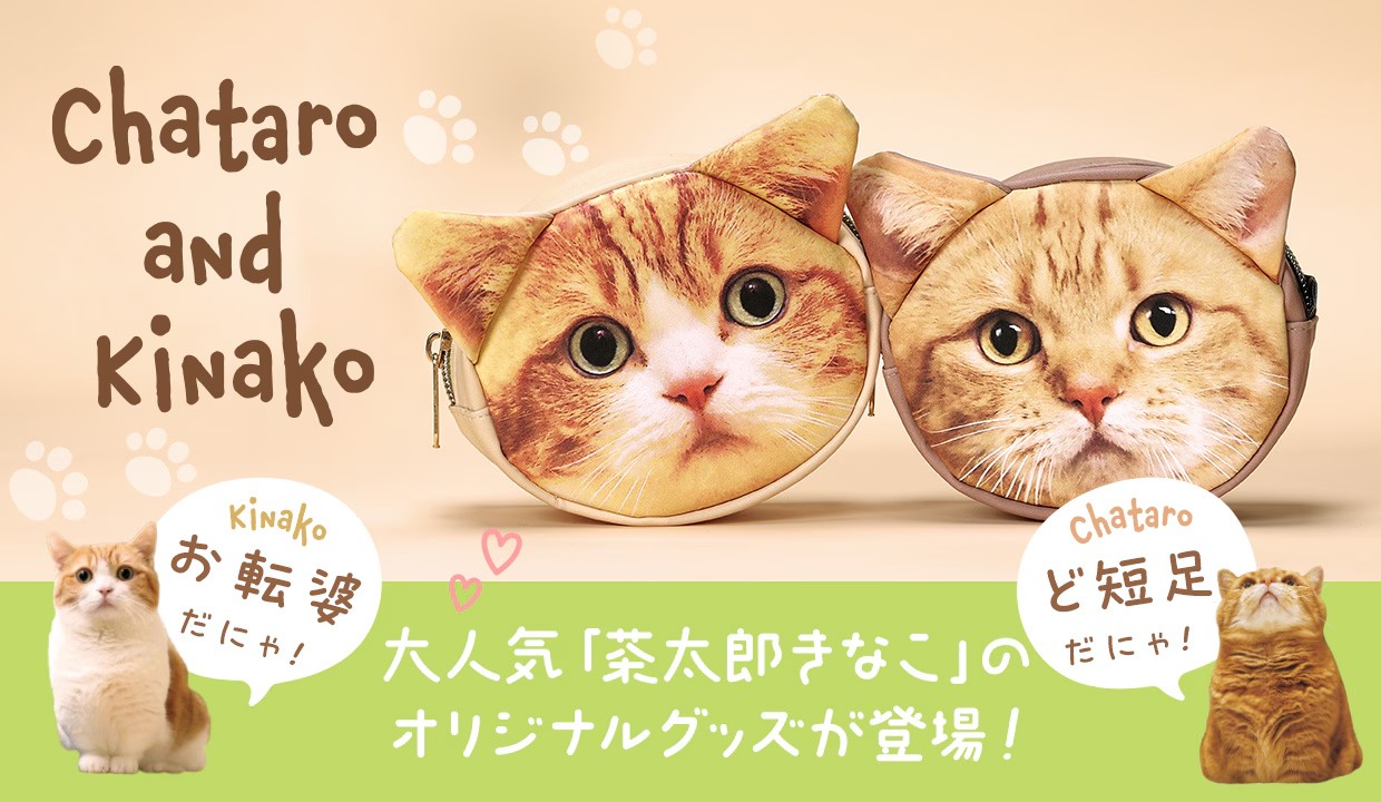茶太郎ときなこ特集