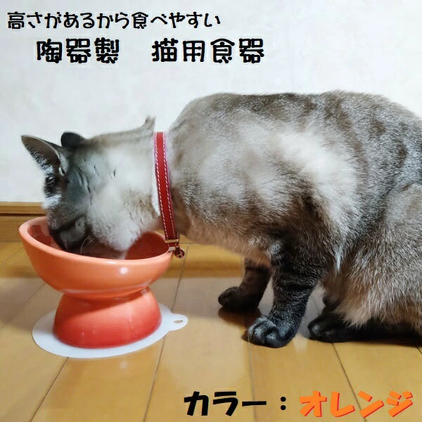陶器製 猫用食器オレンジ