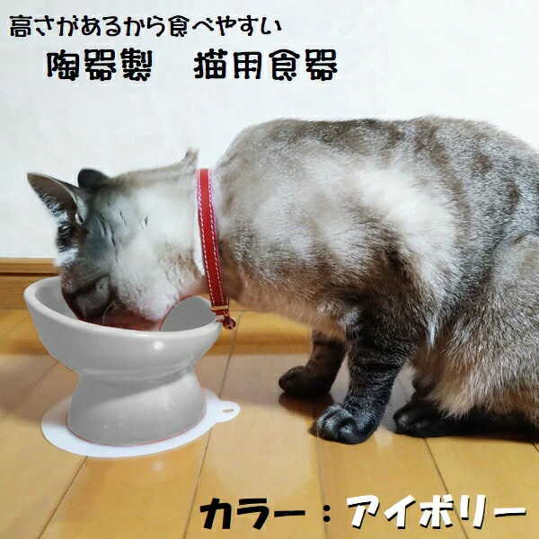 陶器製 猫用食器アイボリー（ホワイト）