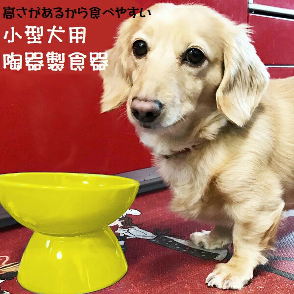 陶器製 小型犬用食器イエロー