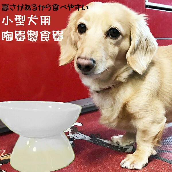 陶器製 小型犬用食器アイボリー（ホワイト）