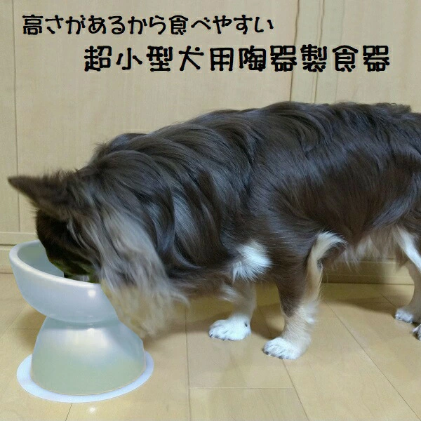 陶器製 超小型犬用食器アイボリー（ホワイト）