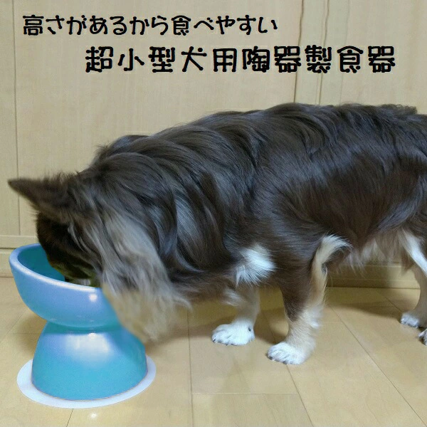 陶器製 超小型犬用食器ミント（ブルー）
