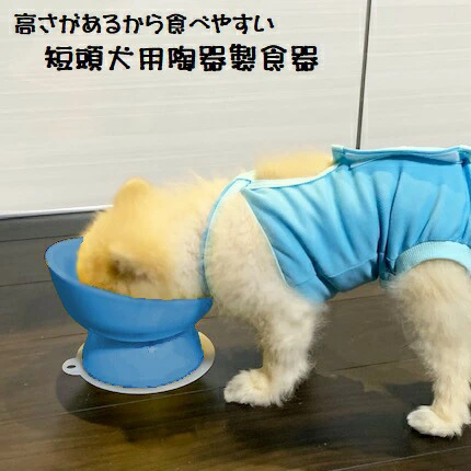 陶器製 短頭犬用食器ミント（ブルー）