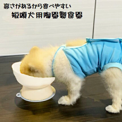 陶器製 短頭犬用食器アイボリー（ホワイト）