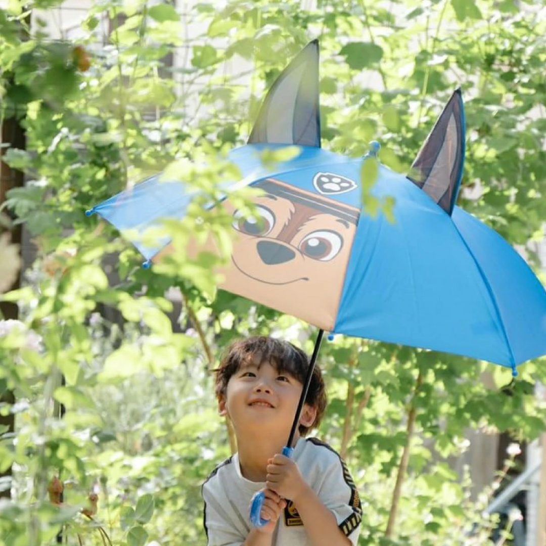 晴雨兼用