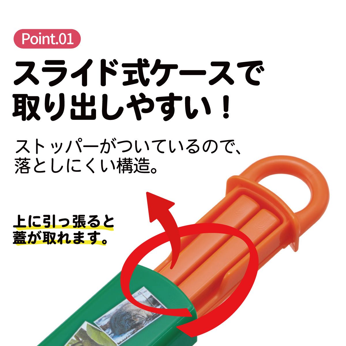 スケーター お箸セット 食洗機対応 箸入れ お弁当 箸 skater 子供 箸ケース ABS2AM ダーウィンが来た! グッズ【カトラリーセット カトラリーケース 蓋付き おはしセット】