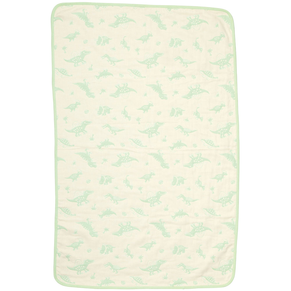 【送料無料】ブランケット 110×70cm ひざ掛け ひざかけ 5重 ガーゼ 綿100% 丸洗い 洗濯機 OK スケーター skater BBKT1 ディノサウルス 恐竜 ダイナソー 男の子 男子【赤ちゃん ベビー 子供 キッズ かわいい 可愛い】