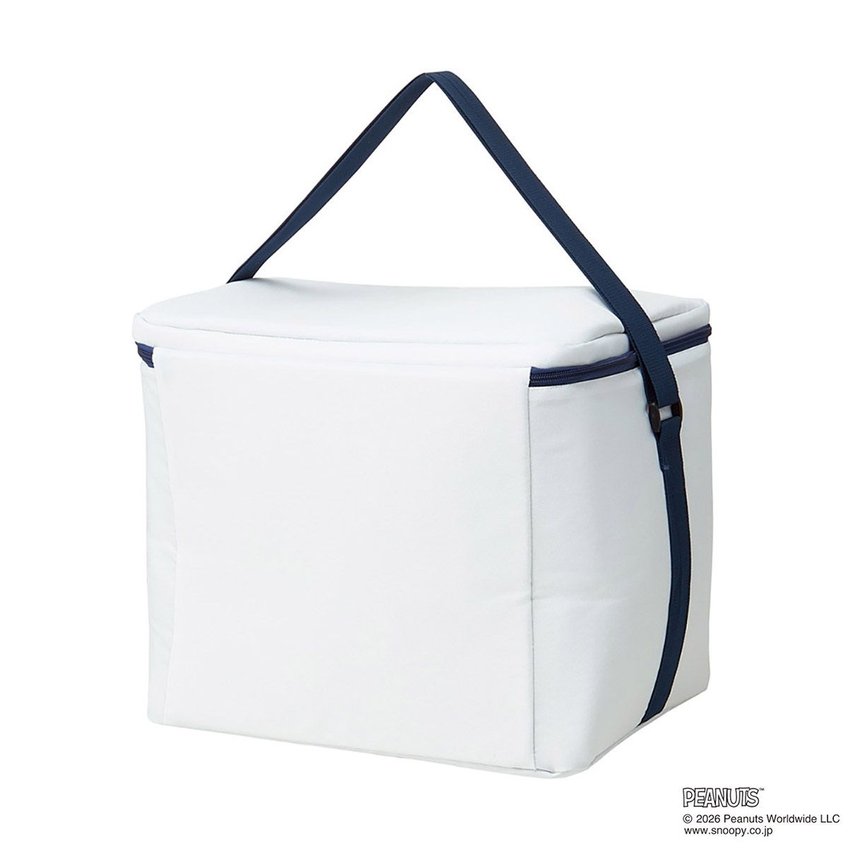 スケーター 折りたたみ 保冷 バッグ 25L ショルダーベルト付き クリアバッグ付き skater CLB25 GANG スヌーピー SNOOPY ピーナッツ【折り畳み コンパクト メッシュポケット 買い物 レジャー アウトドア】