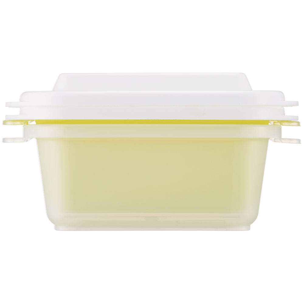 エアー弁 ふわっと 保存容器 セット 2個入り 300ml プラスチック 食品 おしゃれ skater スケーター FCNF1W スヌーピー SNOOPY ピーナッツ 水彩 女性 レディース