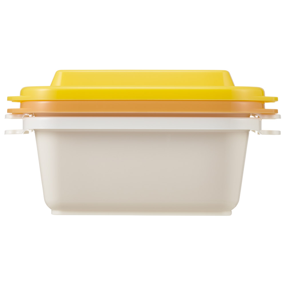 スケーター 保存容器 セット 2個入り 300ml エアー弁 ふわっと プラスチック 食品 おしゃれ skater FCNF1W チップ&デール チップとデール オータム AUTUMN【電子レンジ対応 保存 弁当箱 お弁当箱 ランチ かわいい】