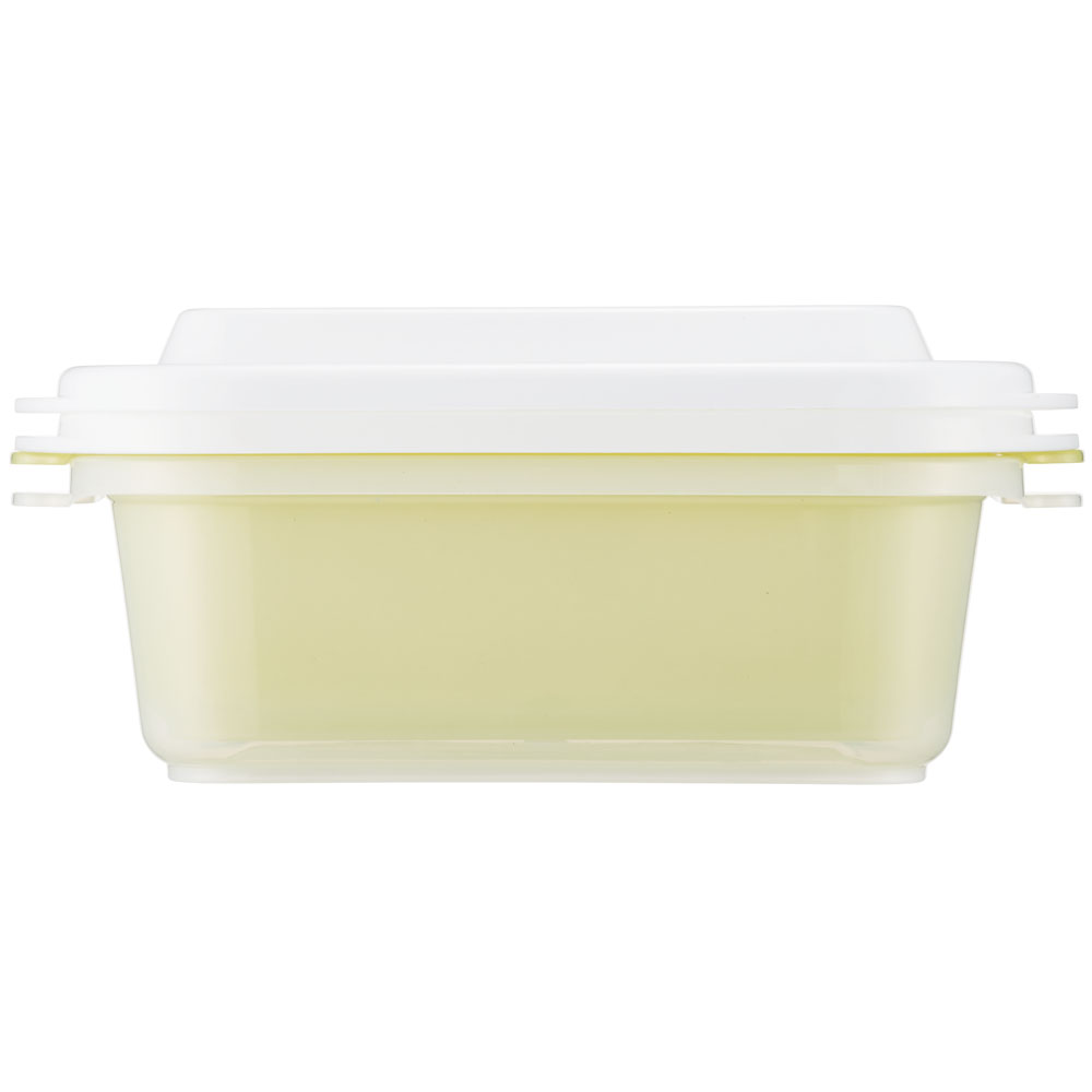エアー弁付き ふわっと 保存 容器 L 500ml 2個 セット 食材保存 保存容器 スケーター skater FCNF2W スヌーピー SNOOPY ピーナッツ 水彩 女性 レディース