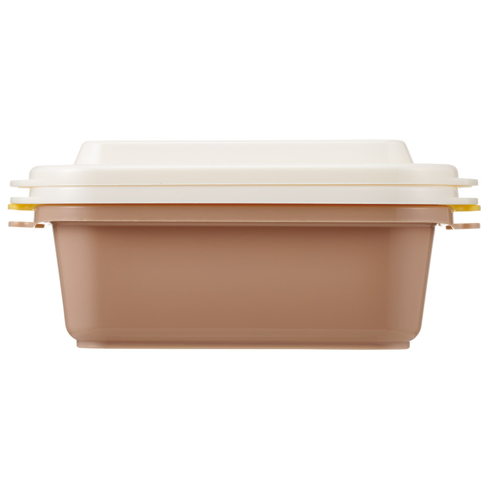 スケーター 保存容器 500ml 2個セット プラスチック 蓋付き 日本製 電子レンジ キャラクター skater FCNF2W チップ＆デール チップとデール オータム AUTUMN【レンジ 四角 食品 ドーム型 ふわっと おしゃれ ふた】