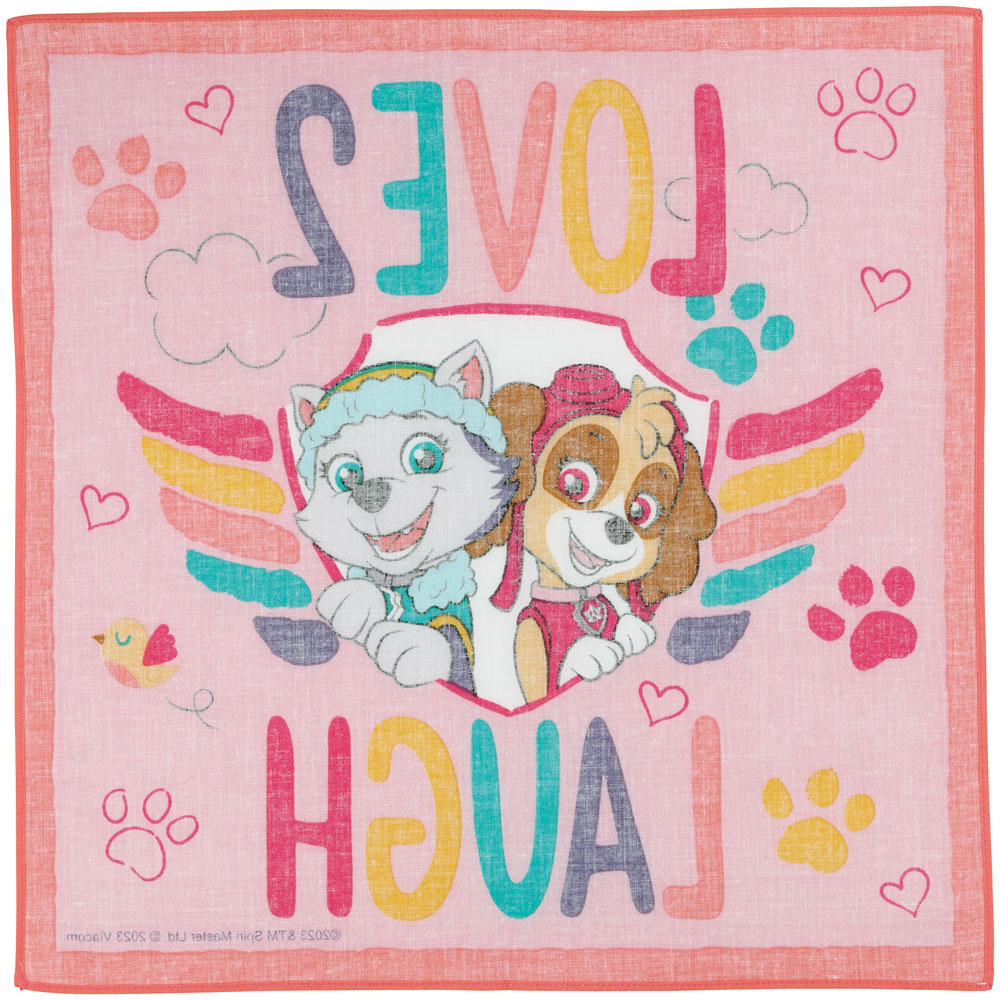 【メール便対象品】 ハンカチ 30×30cm 子供 キャラクター サイズ 小学校 保育園 学校 HKC30 スケーター skater パウ パトロール パウパト レスキュー 男の子 男子 男児【はんかち キッズ こども 子ども かわいい 可愛い 幼稚園】