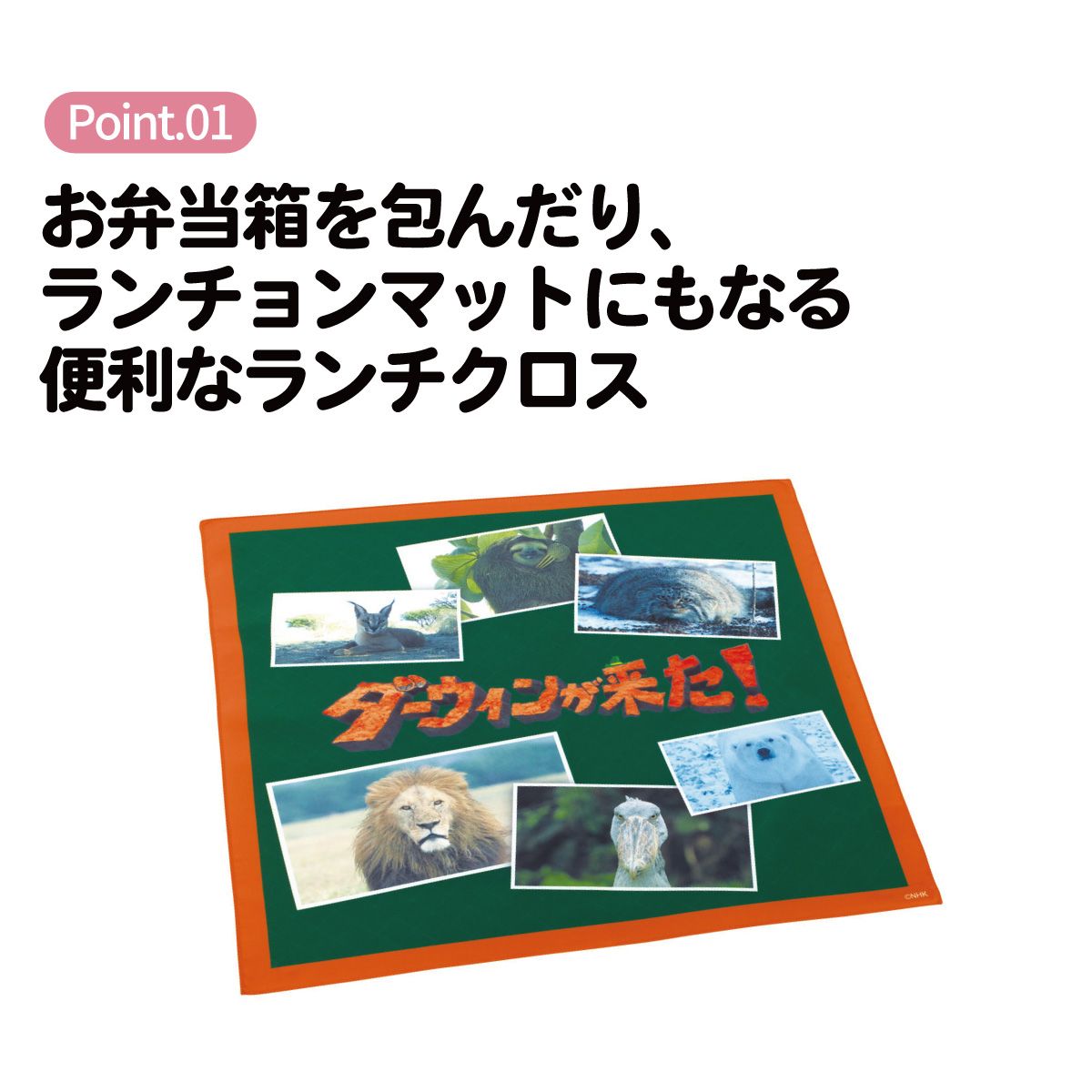 スケーター ランチクロス 風呂敷 クロス キャラクター ランチョンマット 日本製 お弁当包み skater KB4SN ダーウィンが来た！ グッズ【キッズ 子供 子ども かわいい 可愛い 小学校 幼稚園】