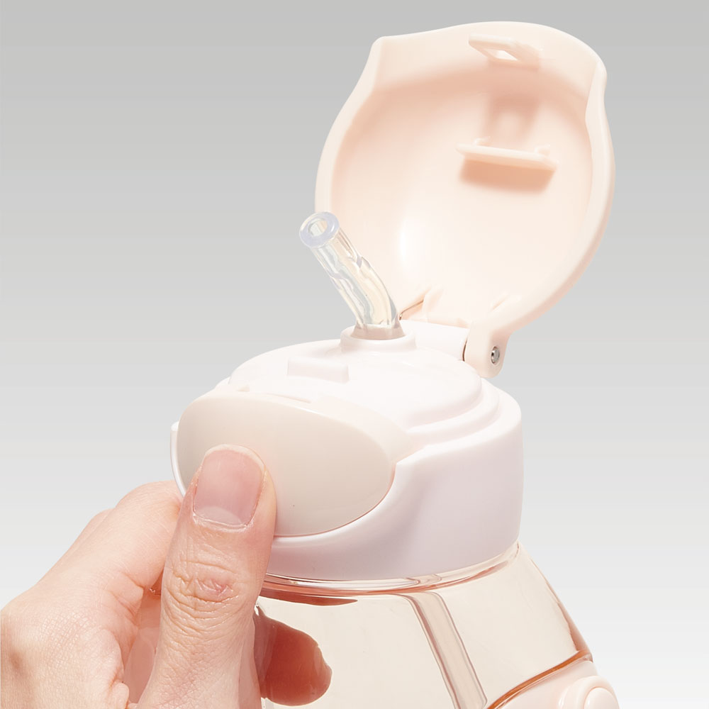 【送料無料】ワンプッシュストローボトル 530ml すみっコぐらし/PDSH6DX_4973307621451