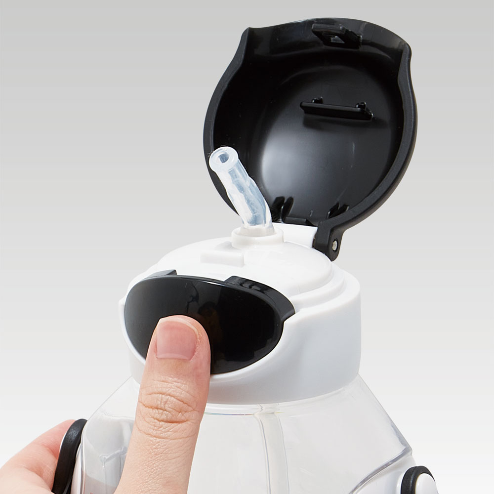 【送料無料】ワンプッシュストローボトル 530ml ポケモン23N/PDSH6DX_4973307638039