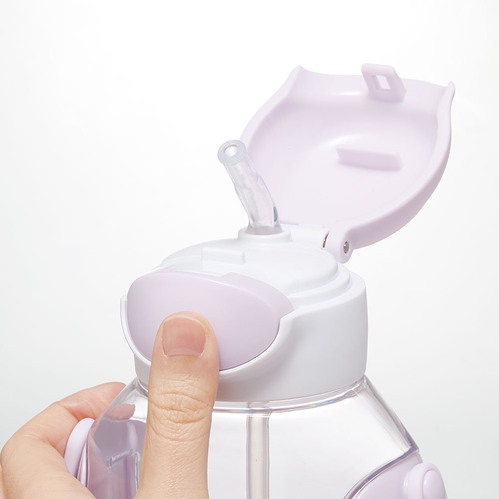 【送料無料】ワンプッシュストローボトル 530ml シナぷしゅ/PDSH6DX_4973307670565