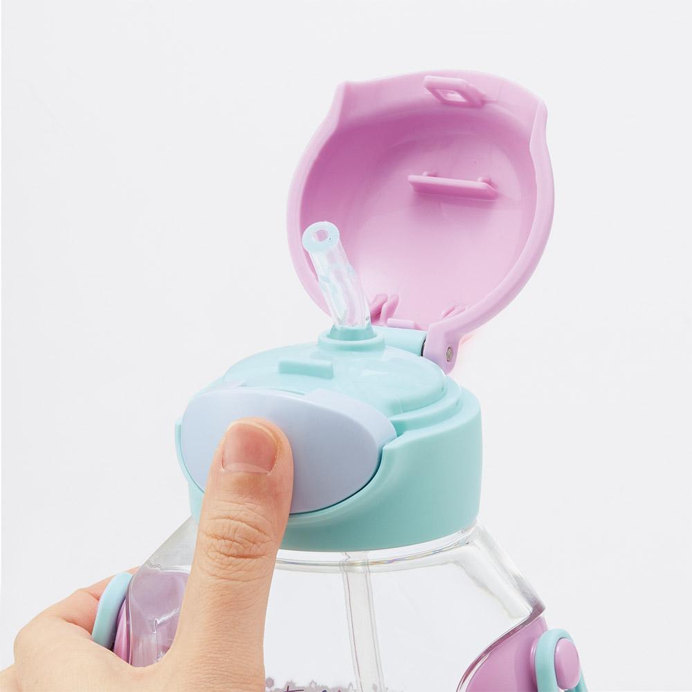 【送料無料】ワンプッシュ式ストロー水筒 プラスチック製 530ml アナと雪の女王25/PDSH6DX_4973307690266