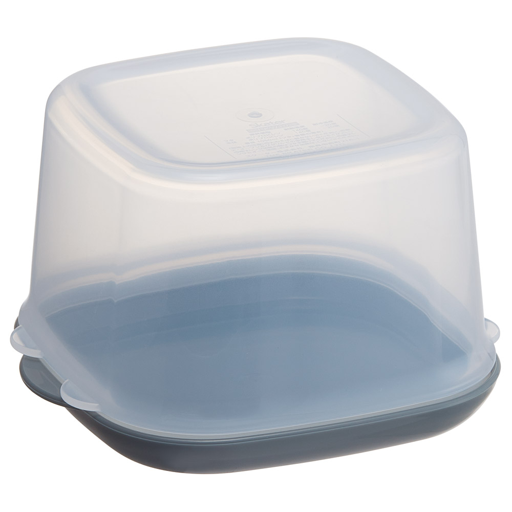 抗菌 2WAY 保存容器 1050ml ケーキ お菓子 マフィン カップケーキ デコレーション スケーター skater PKW10AG アッシュカラー アッシュブルー