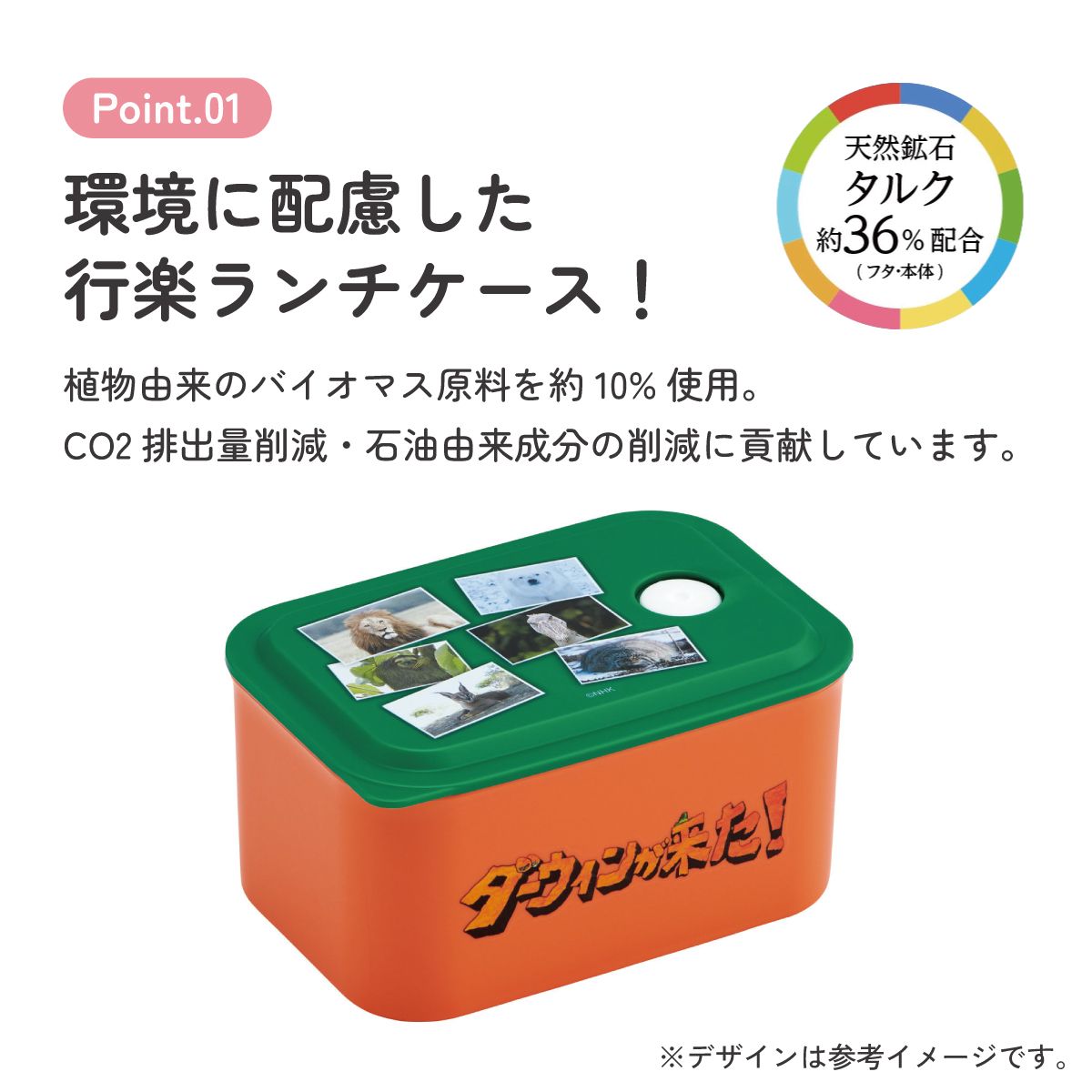 スケーター お弁当箱 320ml ランチボックス S 1段 環境に配慮した バイオマス おしゃれ 大人 skater PL32B ダーウィンが来た! グッズ【レンジ対応 食洗機対応 洗いやすい シンプル 弁当箱】