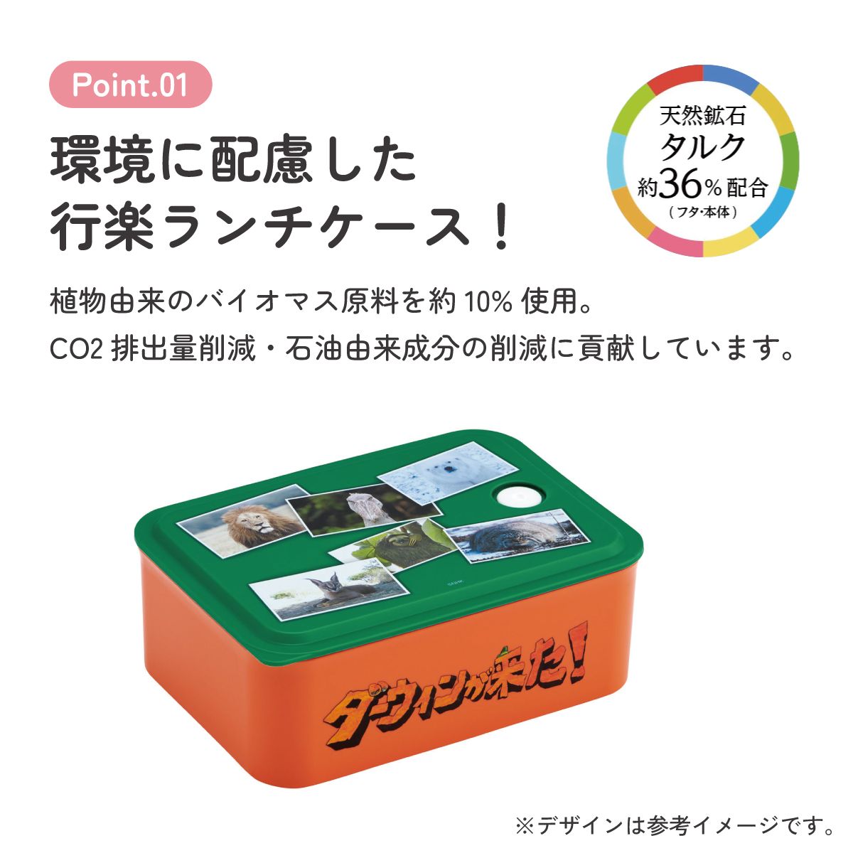 スケーター お弁当箱 700ml ランチボックス M 1段 環境に配慮した バイオマス おしゃれ 大人 skater PL70B ダーウィンが来た！ グッズ【レンジ対応 食洗機対応 洗いやすい シンプル 弁当箱】