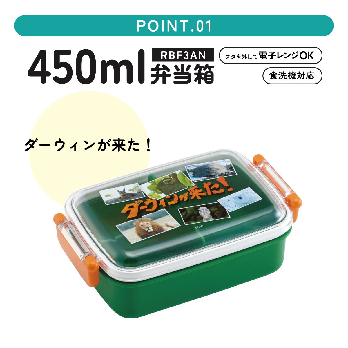 スケーター お弁当箱 子供用 450ml 食洗機対応 日本製 おかずがつぶれにくいドーム型ふた skater RBF3AN ダーウィンが来た! グッズ【キャラクター 1段 ランチボックス 角型 可愛い キッズ】
