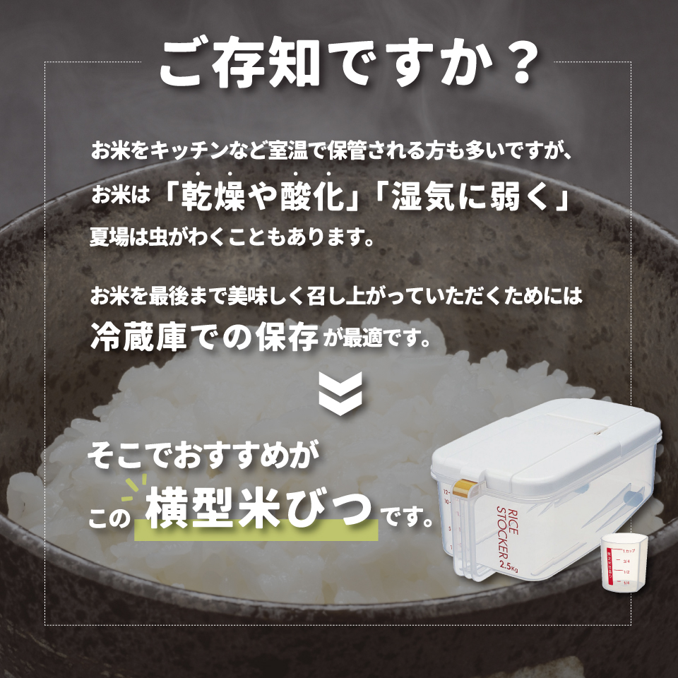 スケーター 冷蔵庫用 米びつ 横型 2.5kg 計量カップ付 日本製 ワンプッシュ キャスター付き skater RBI2 スモーキーブルー【一人暮らし 新生活 お米 保存 冷蔵 スリム コンパクト おしゃれ】