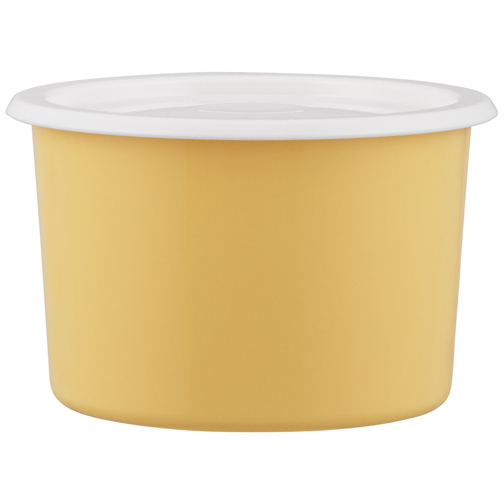 ワンタッチ シール 密閉 保存 容器 S 600ml 食品 食材 電子レンジ可 スケーター skater SOT6 くすみ カラー イエロー 黄色 男子 女子 メンズ レディース