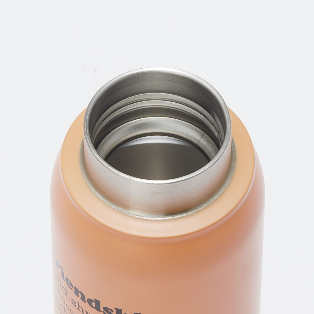 炭酸 飲料 対応 真空 ステンレス ボトル 水筒 500ml 直飲み 保冷専用 スケーター skater STSL5 くまのプーさん プーさん Pooh 女性 レディース