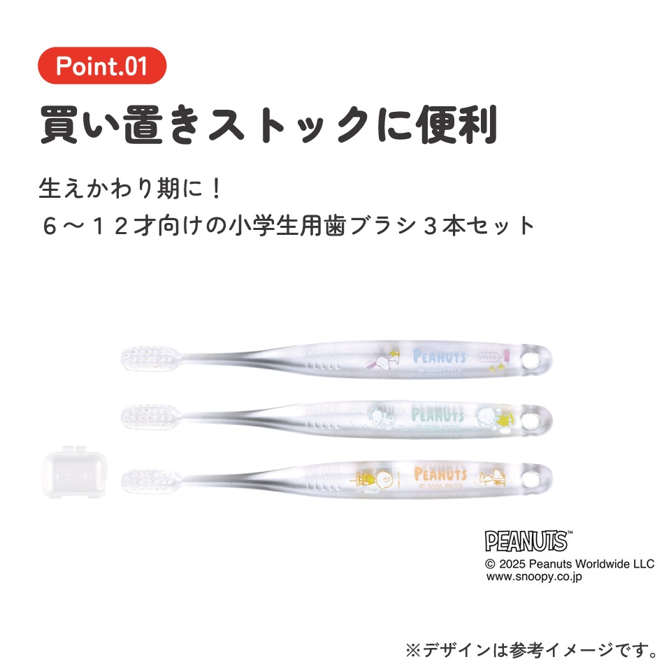スケーター 歯ブラシ 子供 セット こども 3本 やわらかめ ハブラシ 小学生 磨きやすい skater TBCR6T スヌーピー 26年 SNOOPY ピーナッツ PEANUTS【キャラクター 小学生用 可愛い デンタルケア 歯】