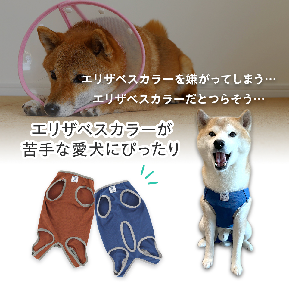【メール便対象品】 ペット用 術後服 犬 女の子用 5号 ブラウン 大阪公立大学との共同開発 PETCF3 スケーター メス 雌【服 抗菌 消臭 手術後 ウェア いぬ わんちゃん 肌にやさしい 着せやすい 傷なめ 防止 傷口 保護 茶】