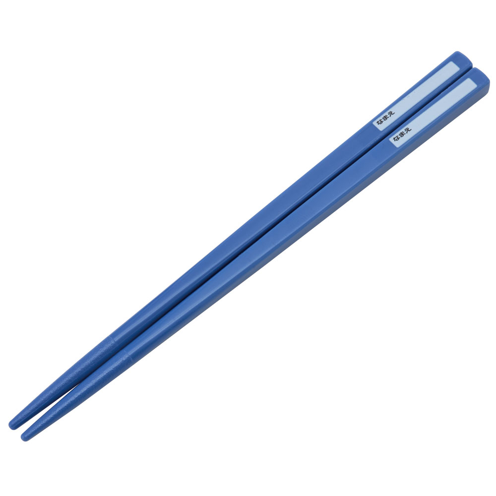 抗菌食洗機対応箸箱セット 箸16.5cm ディノサウルス ピクチャ/ABS2AMAG_4973307624322