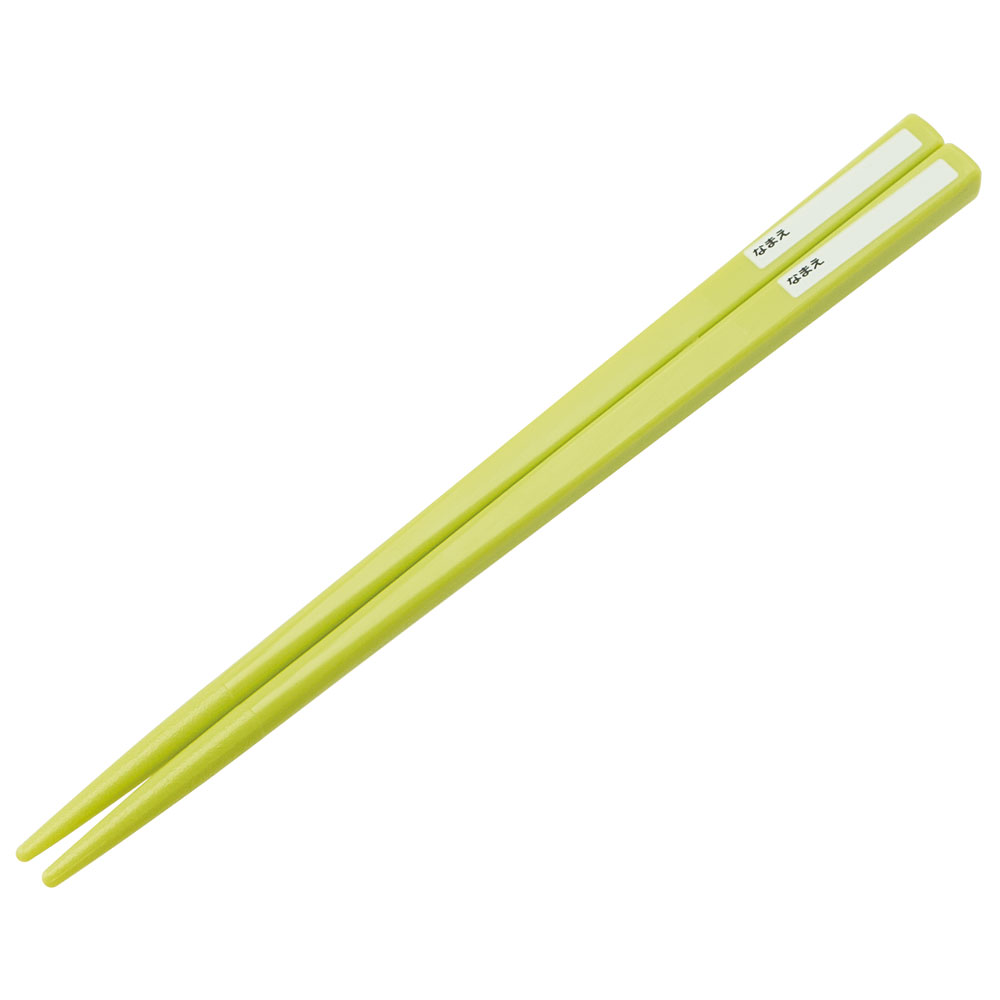 抗菌食洗機対応箸箱セット 箸16.5cm ディノサウルスピクチャーブックNEW/ABS2AMAG_4973307667206