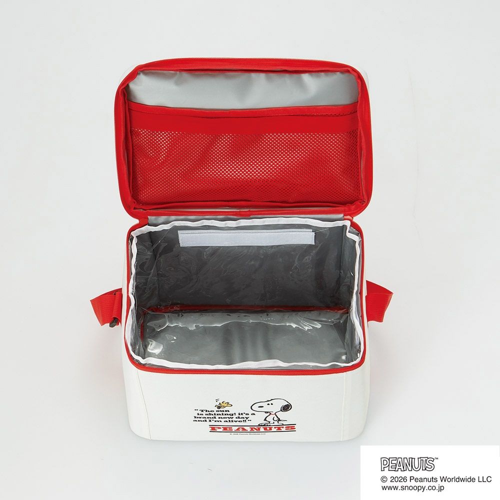スケーター 折りたたみ 保冷 バッグ 12L ショルダーベルト付き クリア