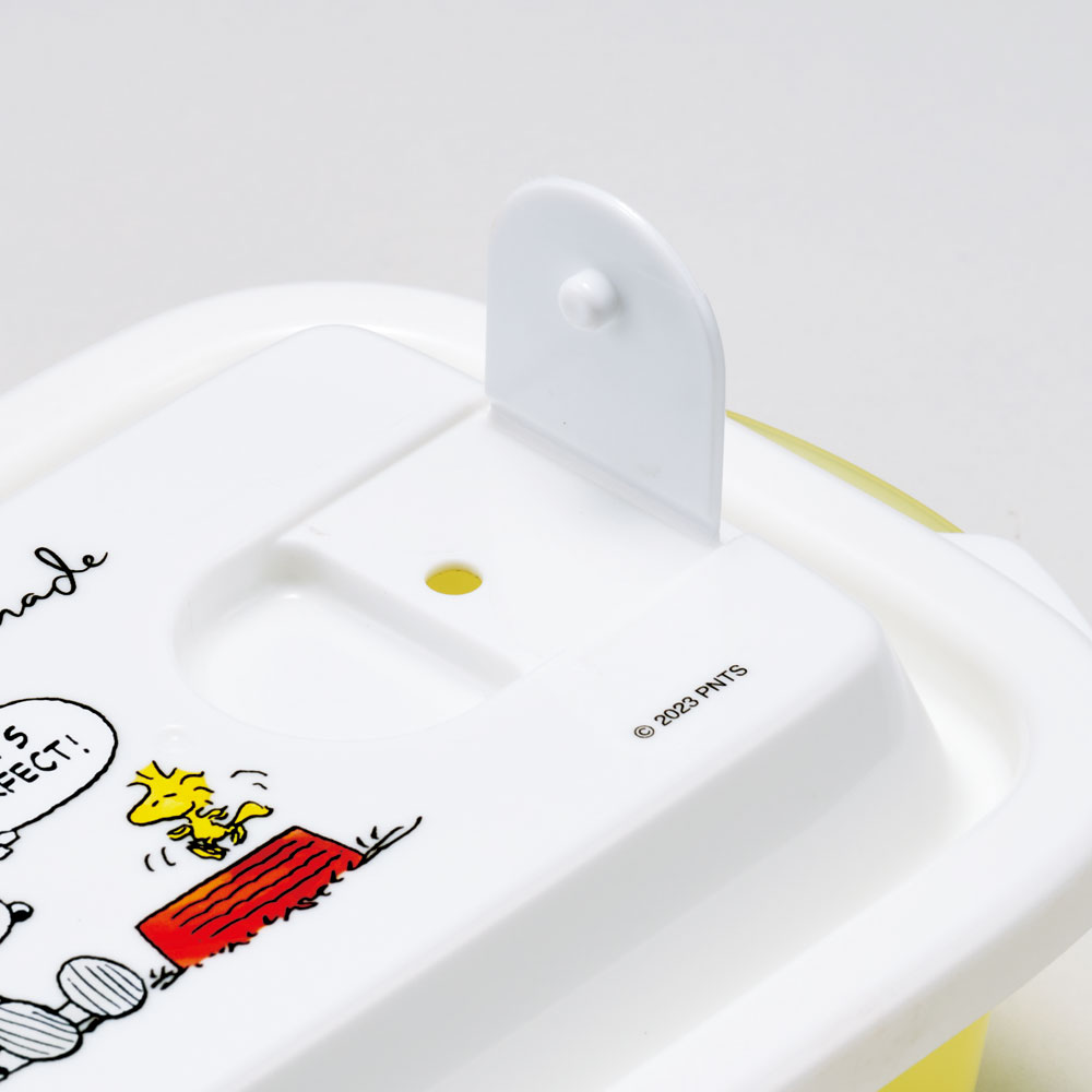 エアー弁 ふわっと 保存容器 セット 2個入り 300ml プラスチック 食品 おしゃれ skater スケーター FCNF1W スヌーピー SNOOPY ピーナッツ 水彩 女性 レディース