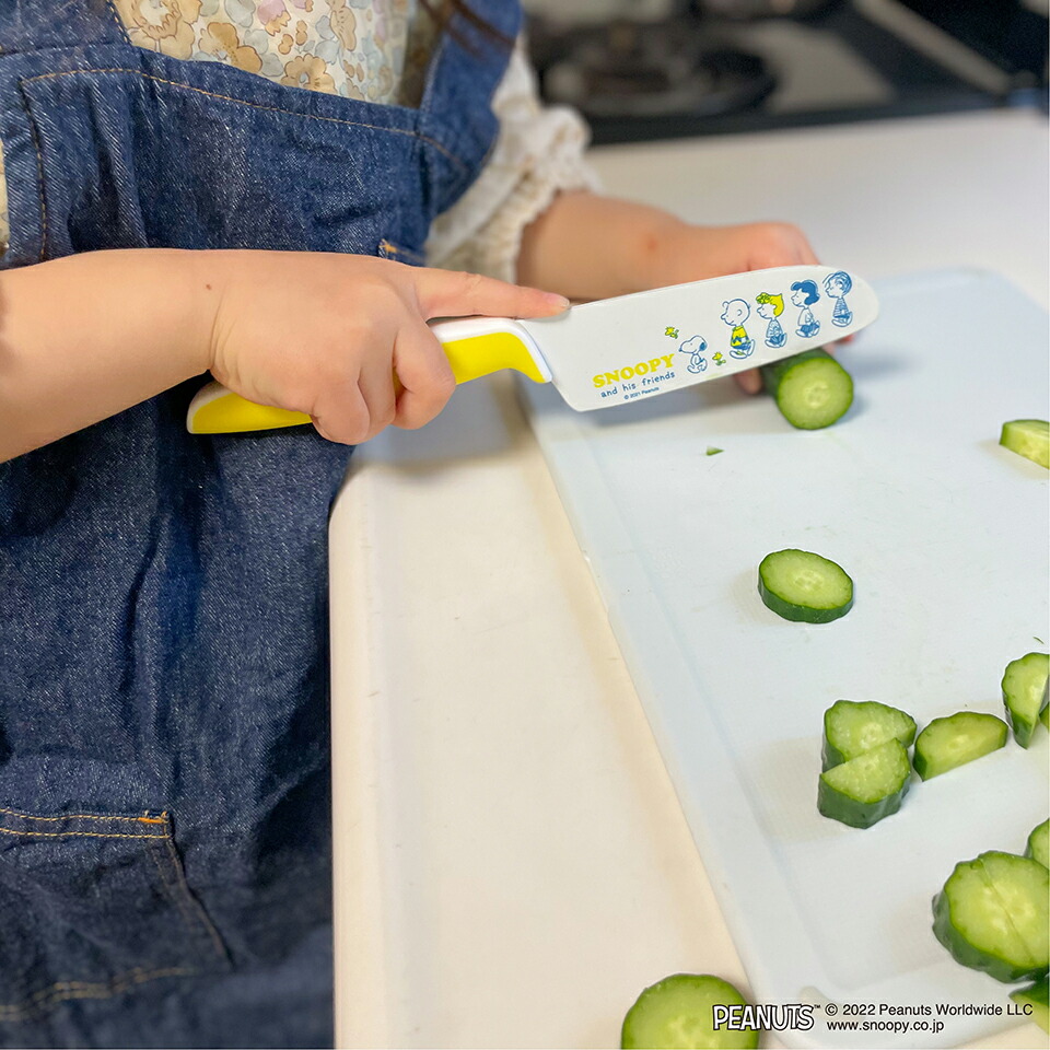 【送料無料】スケーター こども用 包丁 フラッピーバニー 子供 子ども キッズ 料理 調理 練習 お手伝い 左右兼用 左利き 右利き ステンレス キッチン グッズ ほうちょう キャラクター うさぎ HK5