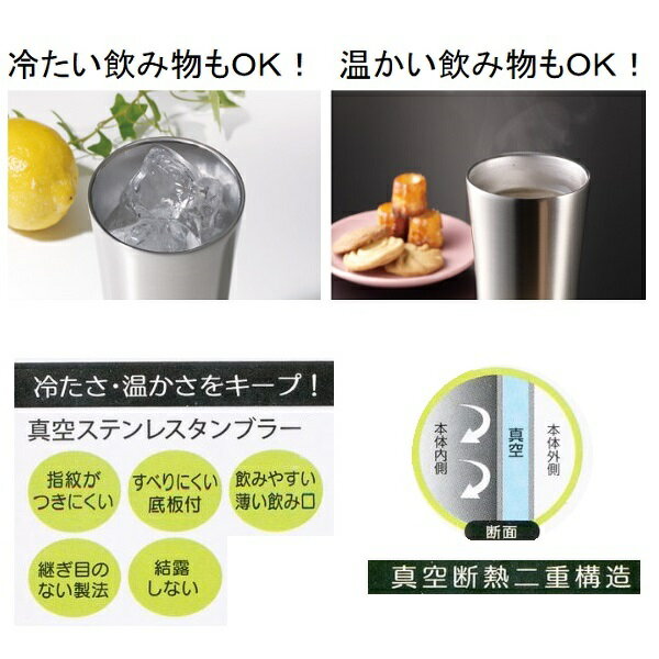 【送料無料】ステンレスタンブラー 300ml トトロ18/STB3N_4973307412165