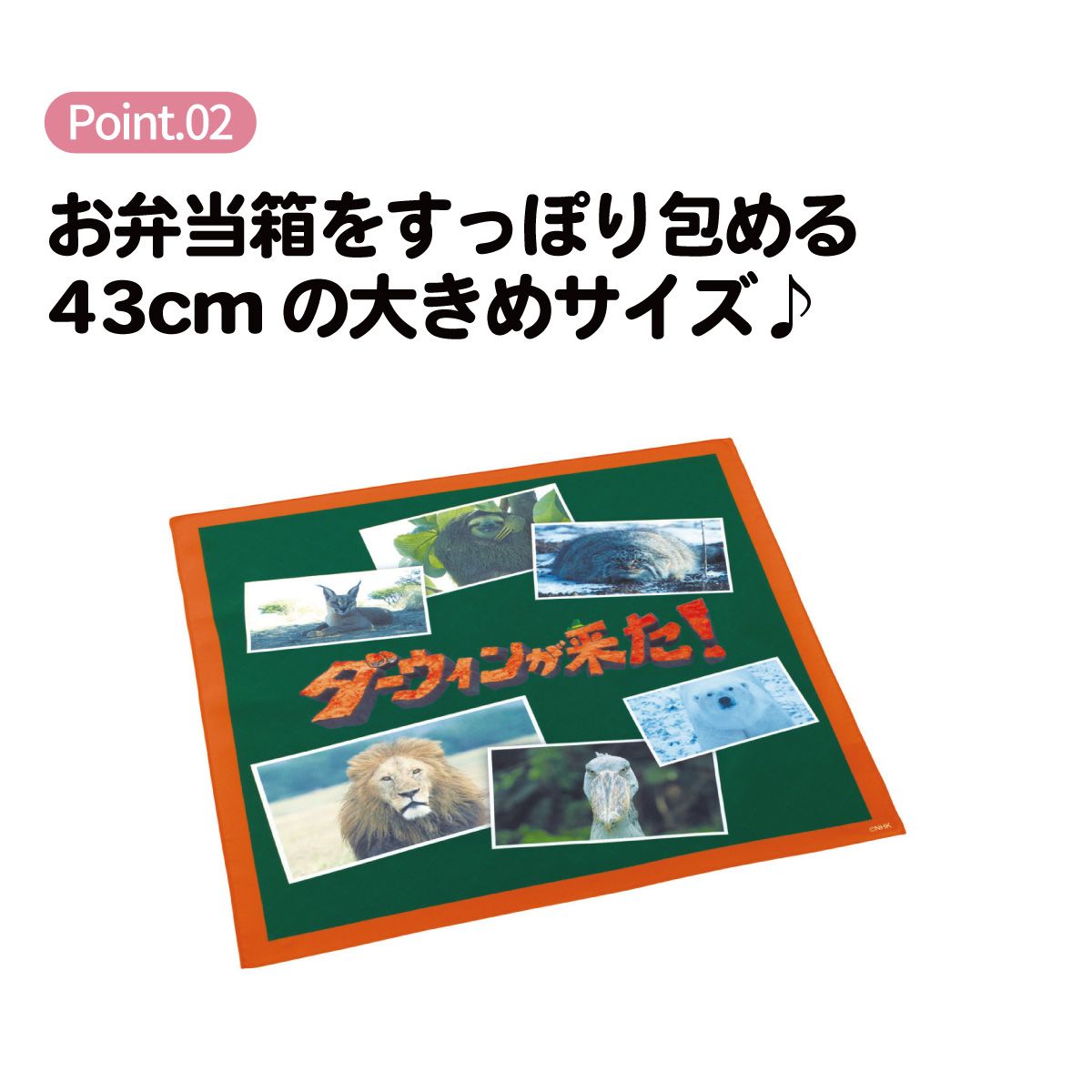 スケーター ランチクロス 風呂敷 クロス キャラクター ランチョンマット 日本製 お弁当包み skater KB4SN ダーウィンが来た！ グッズ【キッズ 子供 子ども かわいい 可愛い 小学校 幼稚園】