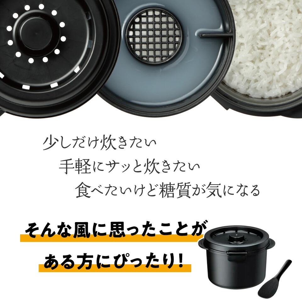 糖質カットご飯メーカー 2合炊き ベーシック/UDG2N_4973307570018