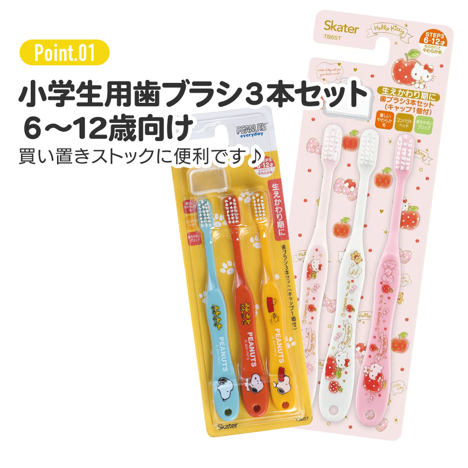 歯ブラシ 3本セット/小学生用トトロ プランツ/TB6ST_4973307647628/スケーター