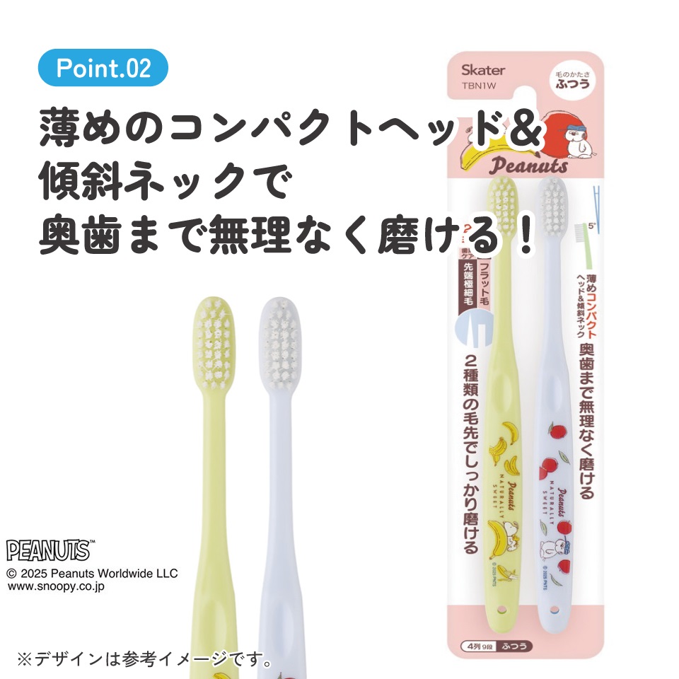【メール便対象品】 スケーター 歯ブラシ 2本 セット ふつう 衛生 用品 はみがき キャラクター 可愛い TBN1W skater スヌーピー 26年 SNOOPY ピーナッツ PEANUTS【歯ぶらし はぶらし ハブラシ 歯磨き ハミガキ 虫歯 予防 2本入】