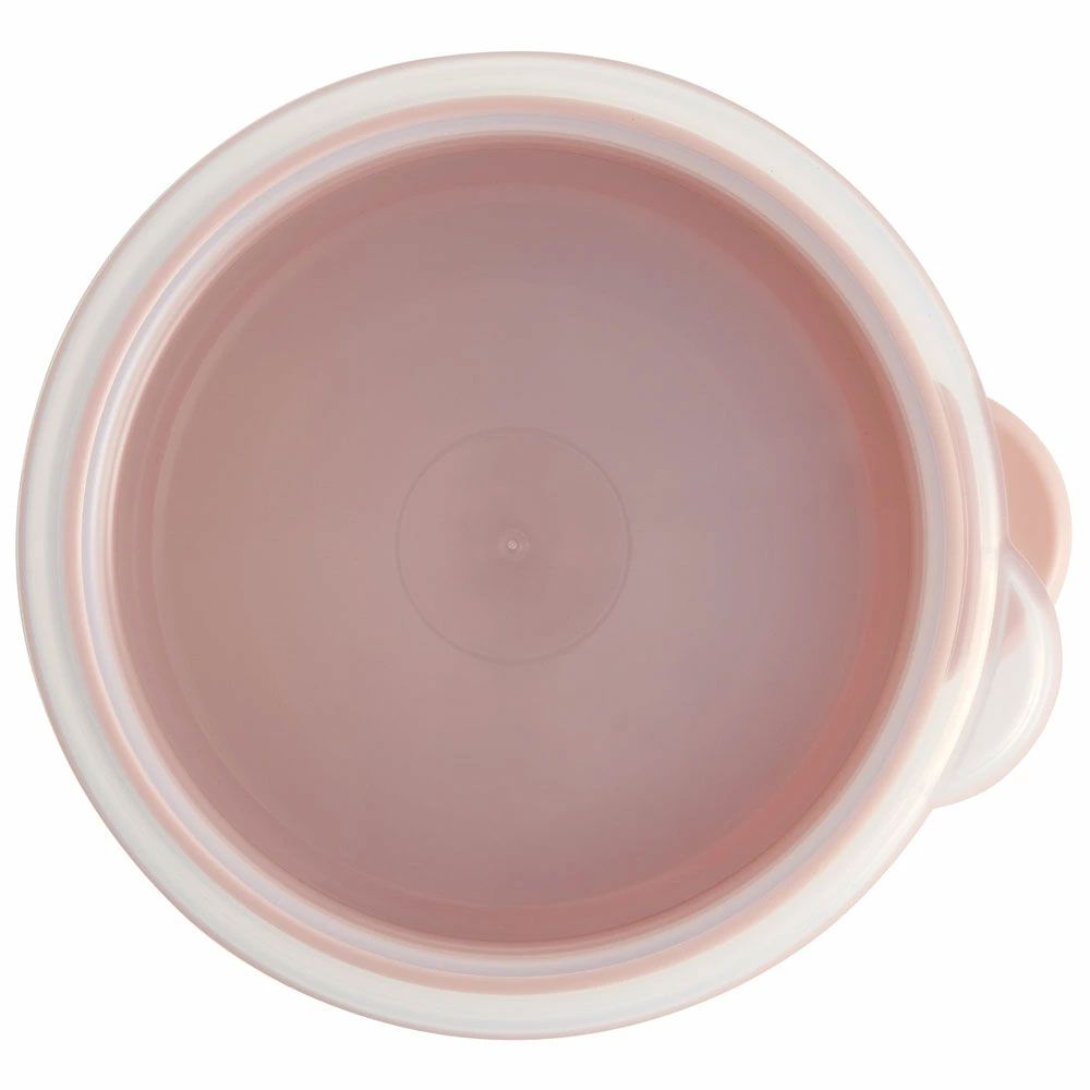 ワンタッチ 密閉 保存容器 S 600ml プラスチック 日本製 蓋付き 食品保存 軽い skater スケーター SOT6 ミッフィー Miffy うさこちゃん 女の子 女性