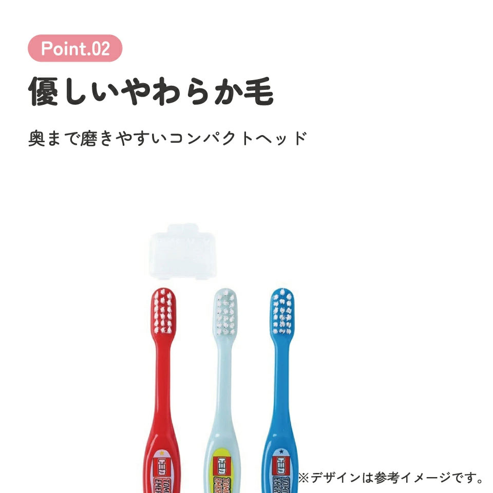 歯ブラシ 3本セット/園児用トミカ23/TB5ST_4973307635335/スケーター