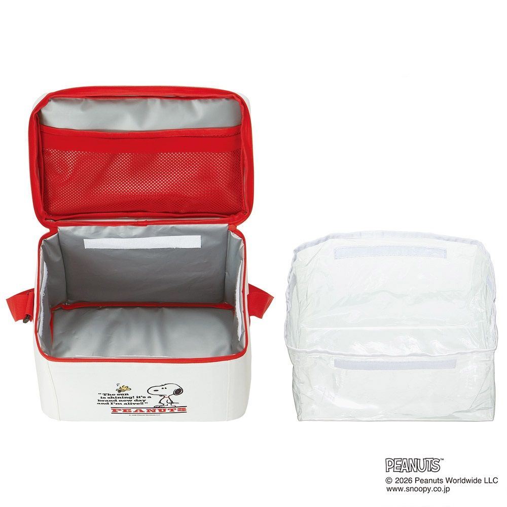 スケーター 折りたたみ 保冷 バッグ 12L ショルダーベルト付き クリアバッグ付き skater CLB12   GANG スヌーピー SNOOPY ピーナッツ【折り畳み コンパクト メッシュポケット 買い物 レジャー アウトドア】